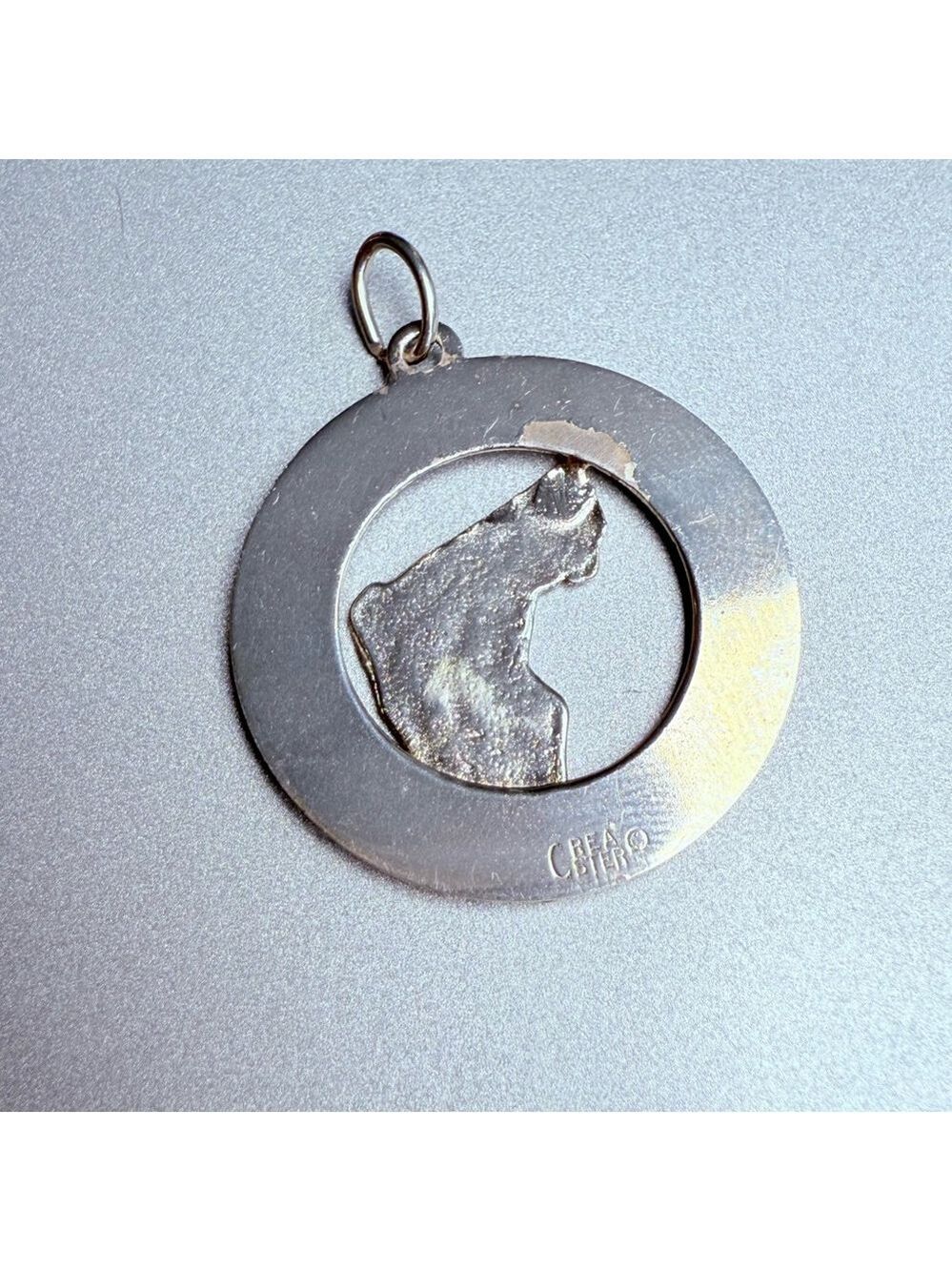 Sterling Silver 925 Sunshine State Of Florida Detailed Map Charm Pendant - Picture 2 of 4